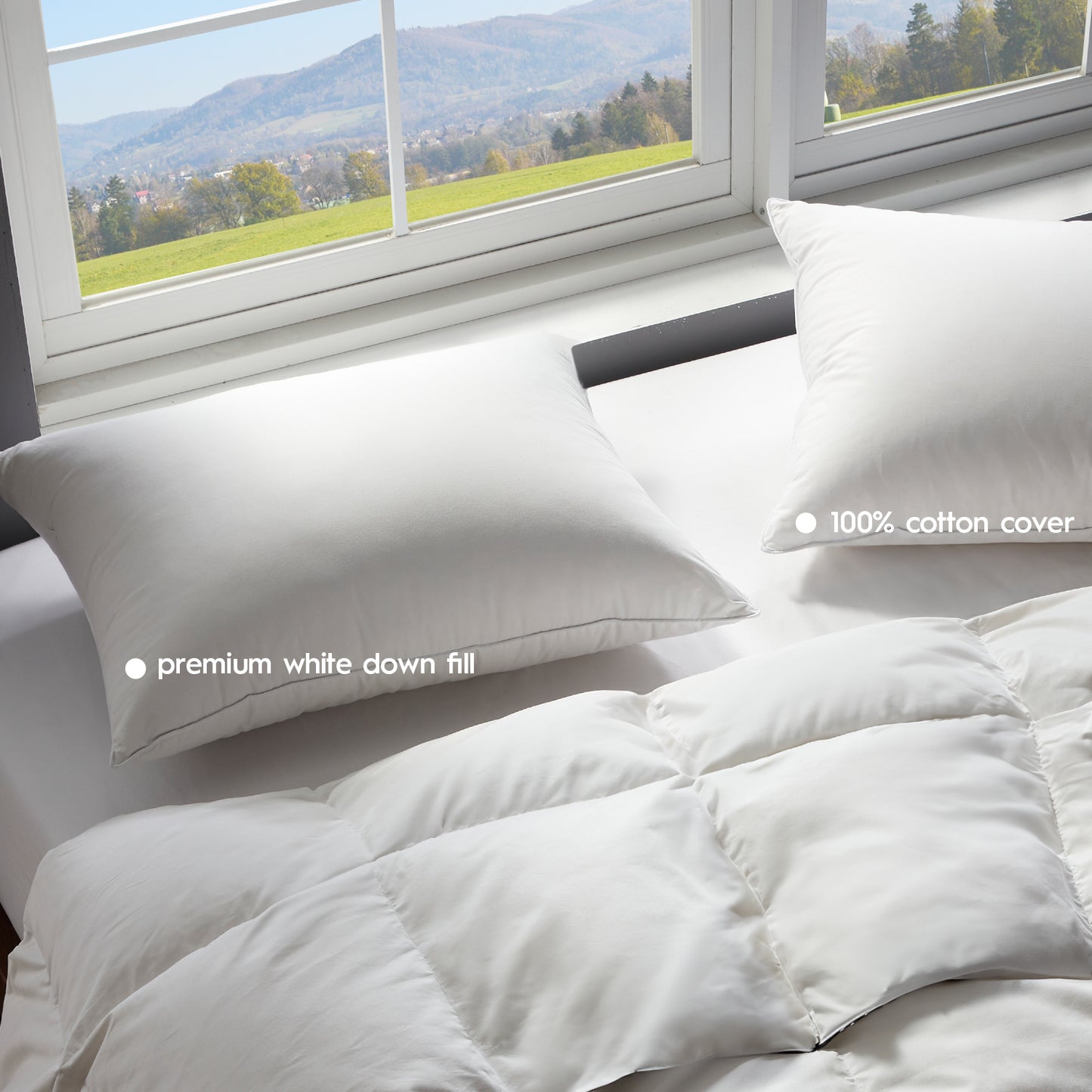 Globon Soft Down Pillow for Sleeping, Luxury Hotel Pillows