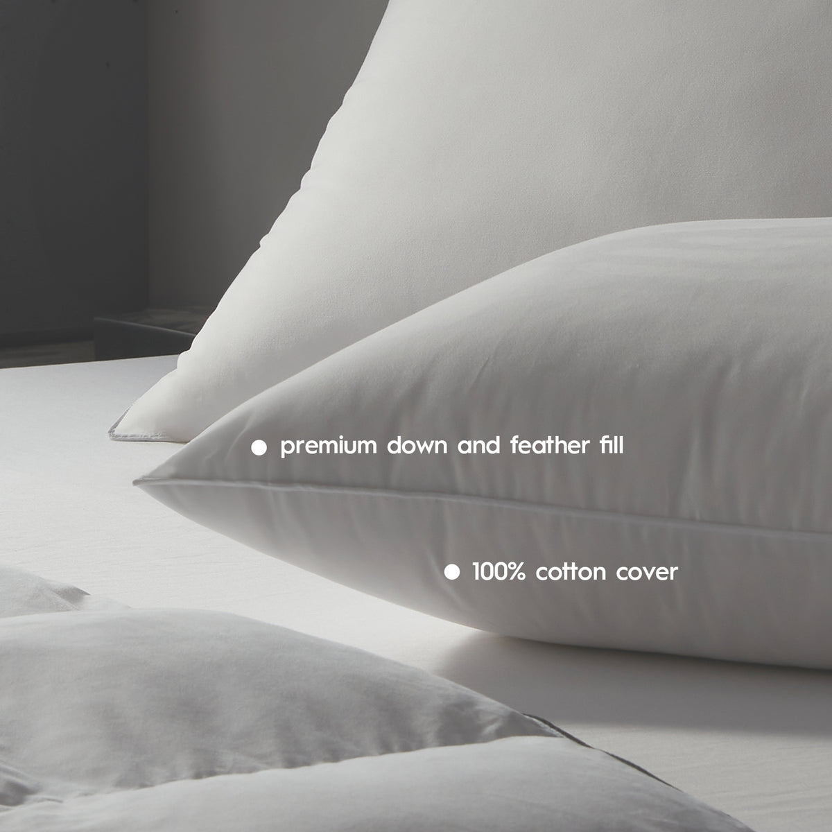 Globon Hotel Collection Feather Down Pillows