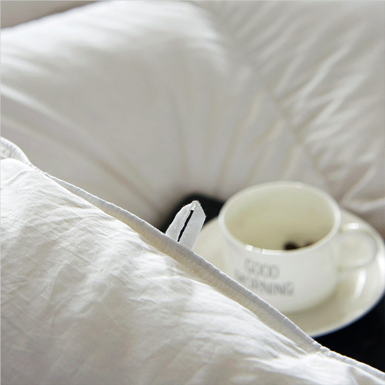 Globon Texcote All Season/Winter Down Comforter