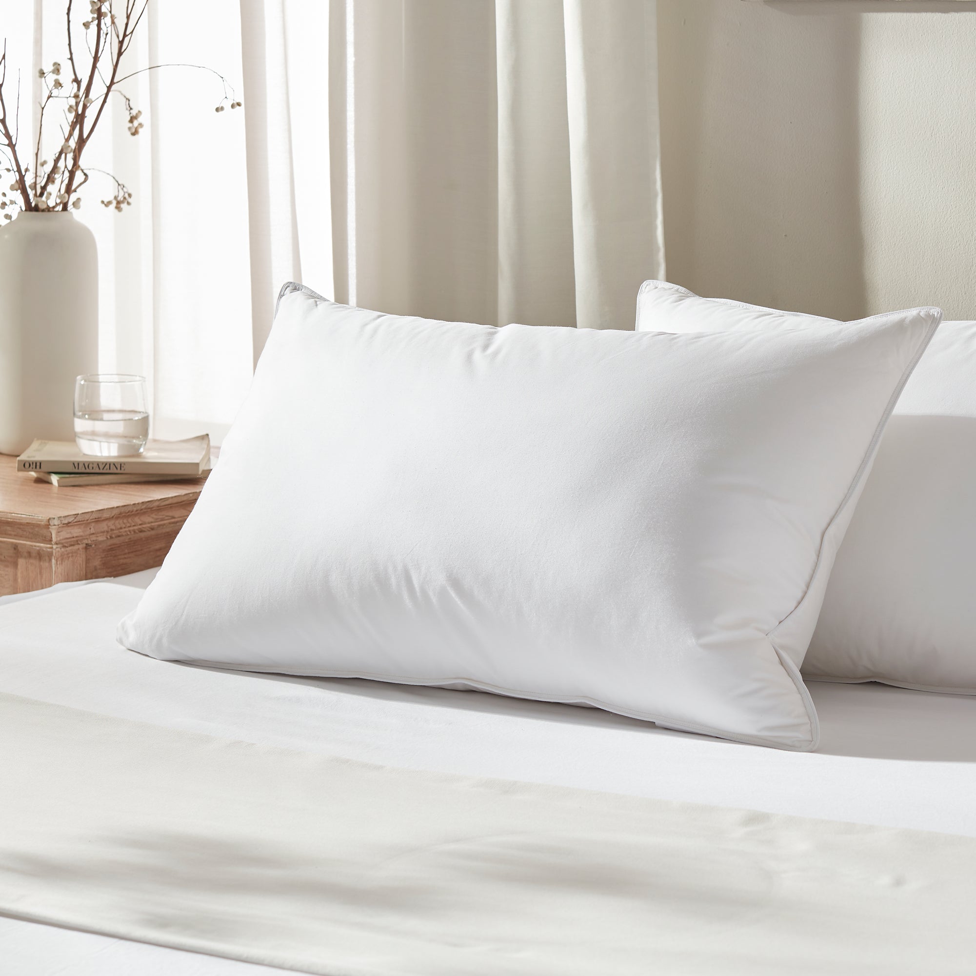 Globon Hotel Collection Feather Down Pillows