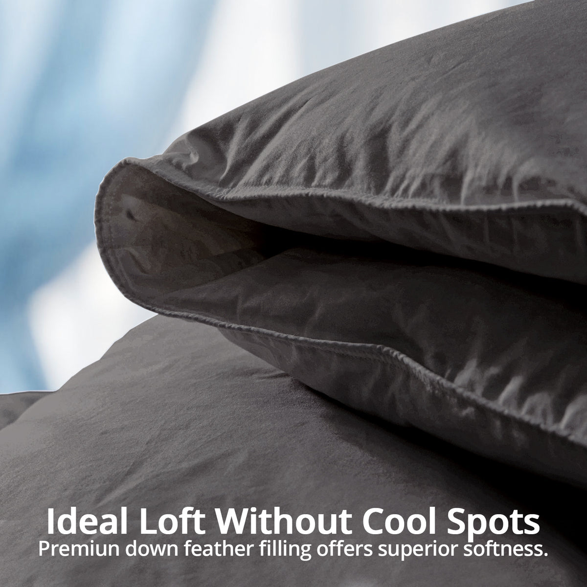Globon Feather Down Comforter All Season, 100% Cotton Shell, Dark Grey