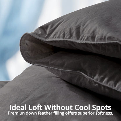 Globon Feather Down Comforter All Season, 100% Cotton Shell, Dark Grey