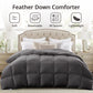 Globon Feather Down Comforter All Season, 100% Cotton Shell, Dark Grey