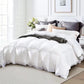 Globon Down Comforter All Season  Noiseless Shell White Color