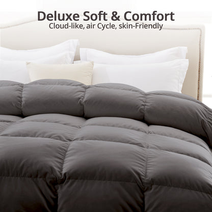 Globon Feather Down Comforter All Season, 100% Cotton Shell, Dark Grey