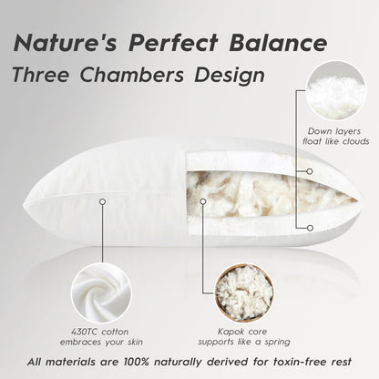 Globon Organic Down Pillows, Premium Down and Kapok Fiber Filling, 100% Cotton 430TC Shell, Medium Firm