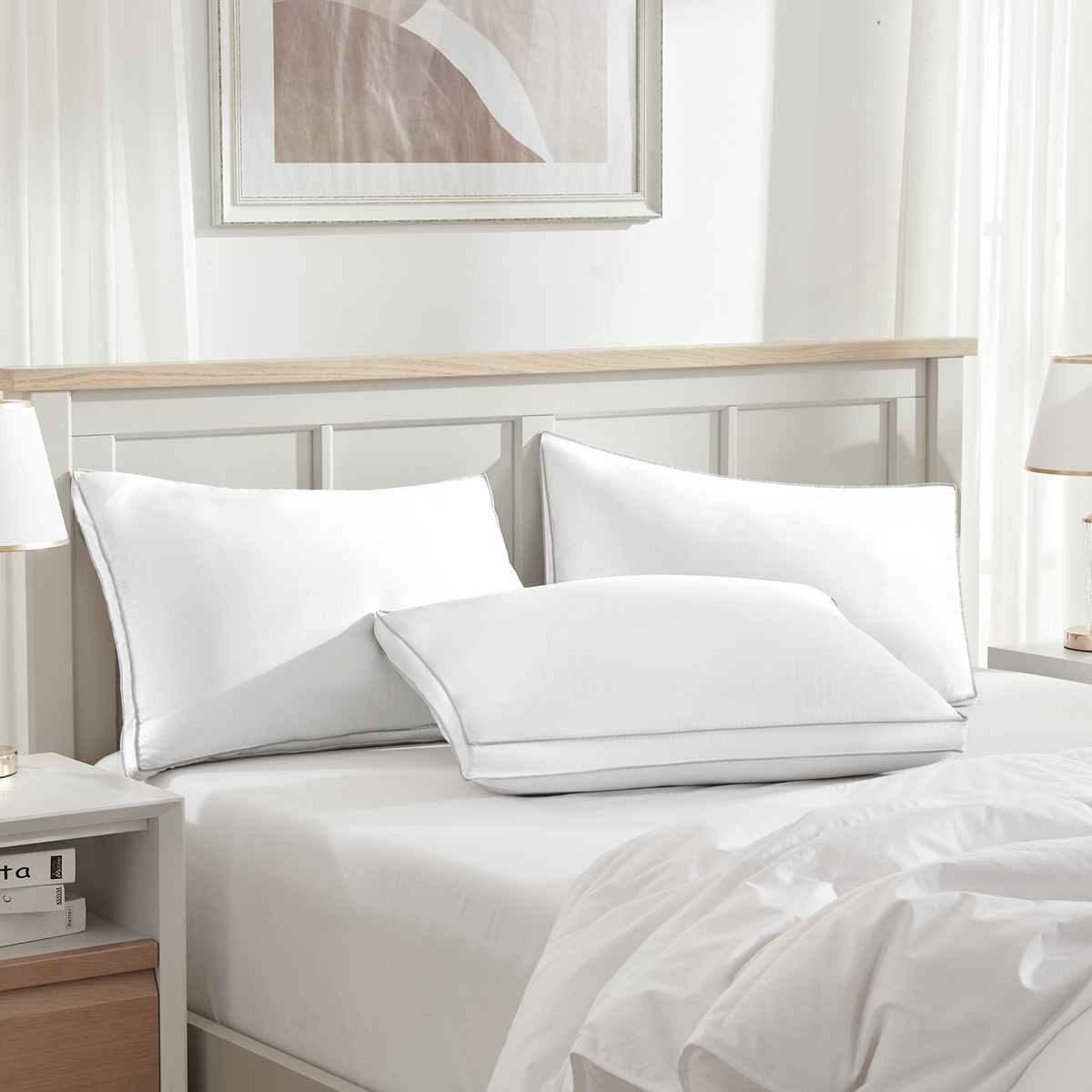 Globon Luxury Feather Down Pillow