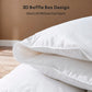 Globon Feather Down Comforter ,100% Cotton Shell , White Color