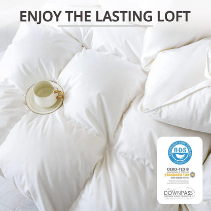 Globon Down Comforter All Season  Noiseless Shell White Color