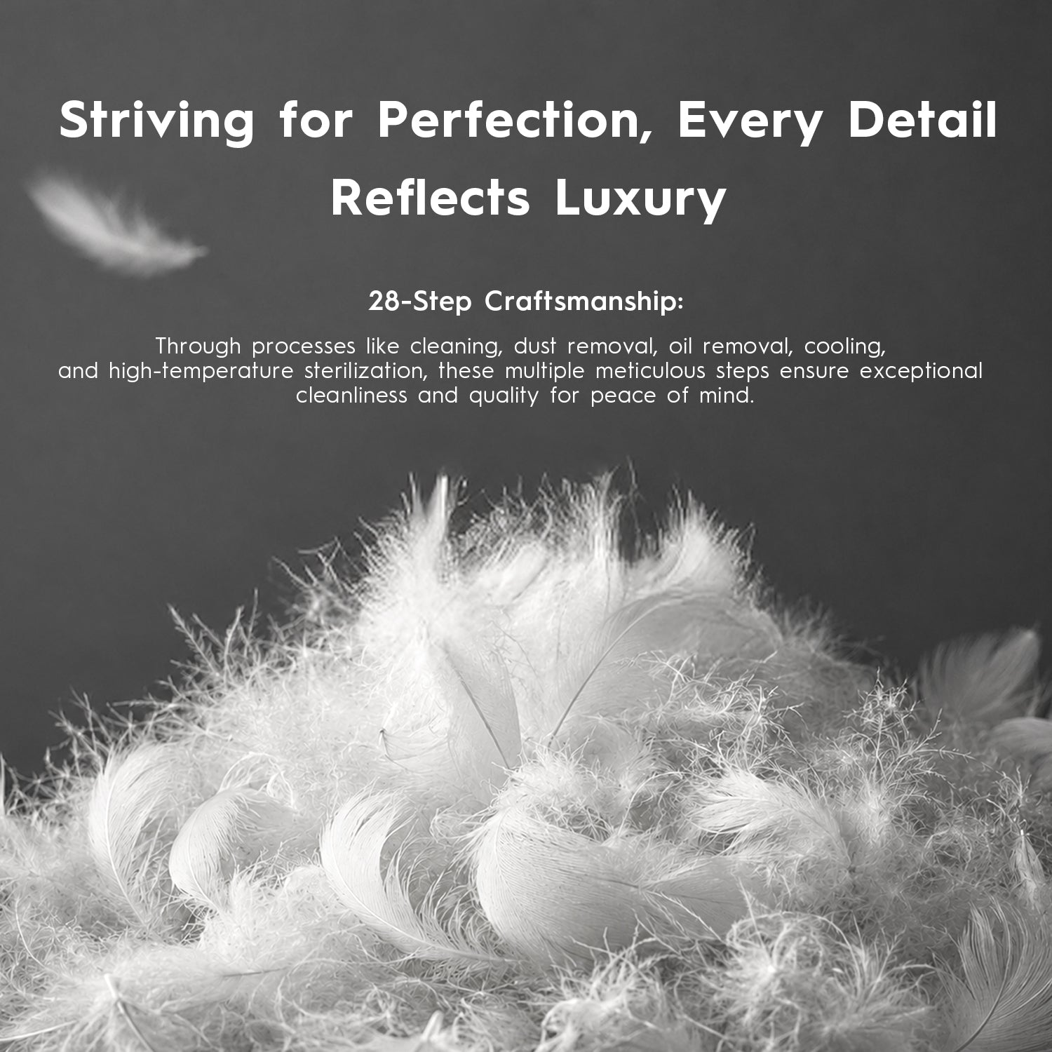 Globon Hotel Collection Feather Down Pillows