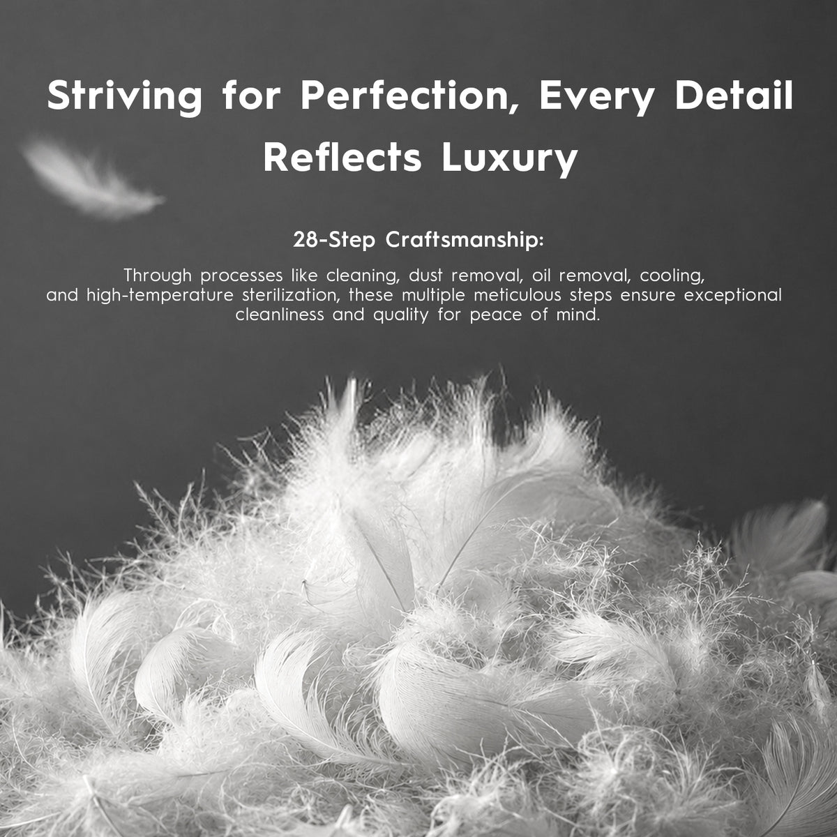 Globon Hotel Collection Feather Down Pillows
