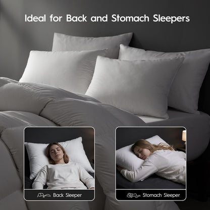 Globon Hotel Collection Feather Down Pillows