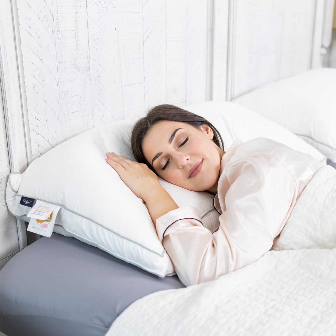 Globon Luxury Feather Down Pillow