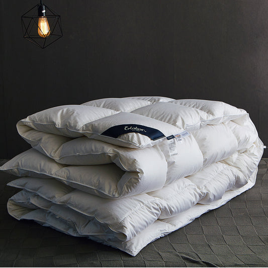 Globon Texcote All Season Down Comforter White Color