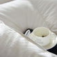 Globon Fusion White Goose Down Comforter for Winter Heavy Warmth